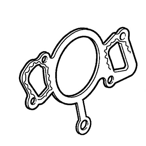 Water Pump Gasket
