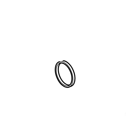 Engine O-Ring