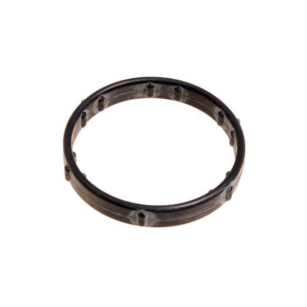 Thermostat Seal
