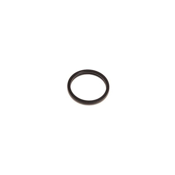 Thermostat Seal