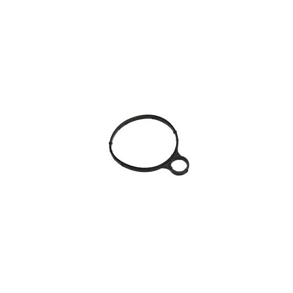 Vacuum Pump Seal