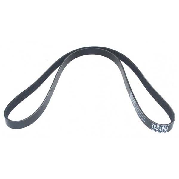 V-Ribbed Belt