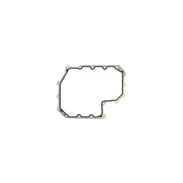 Engine Oil Pan Gasket