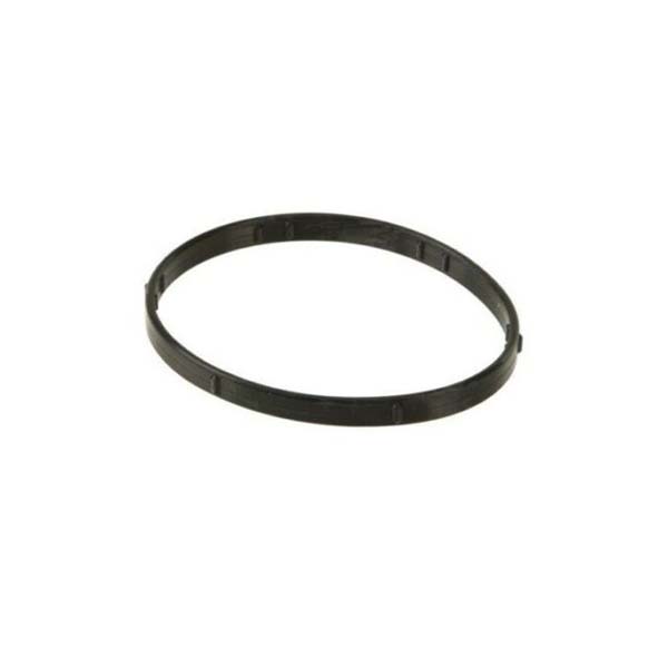 Thermostat Seal