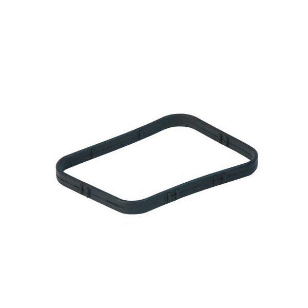 Thermostat Seal
