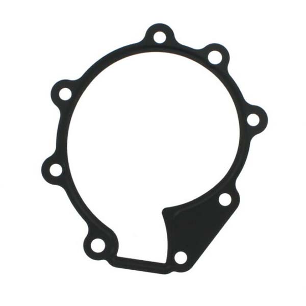 Water Pump Gasket
