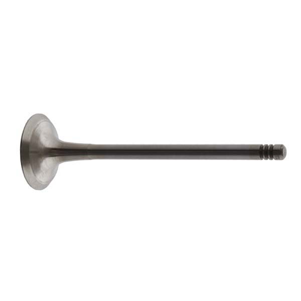 Exhaust Valve