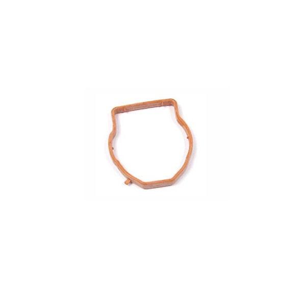 Thermostat Gasket