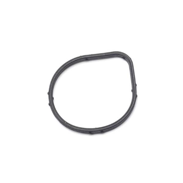 Vacuum Pump Seal