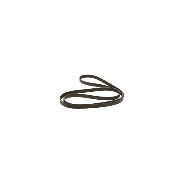 V-Ribbed Belt