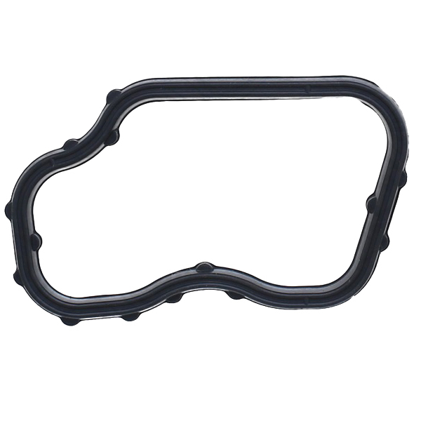 Coolant Outlet Gasket