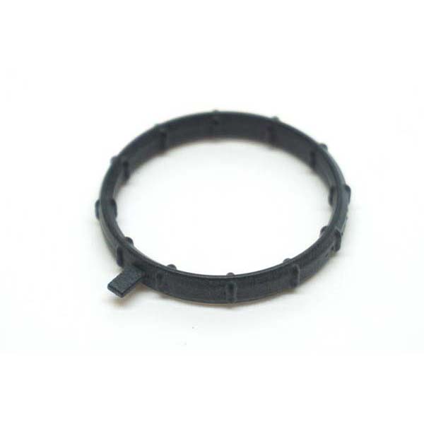 Thermostat Gasket