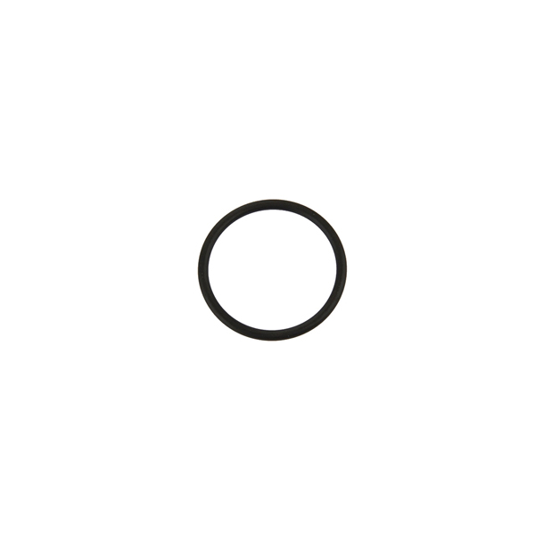 Thermostat Seal