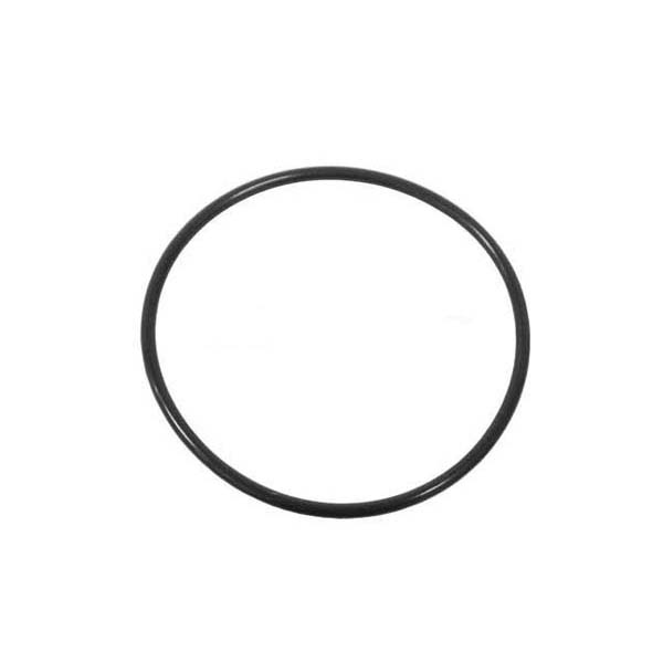 Thermostat Seal