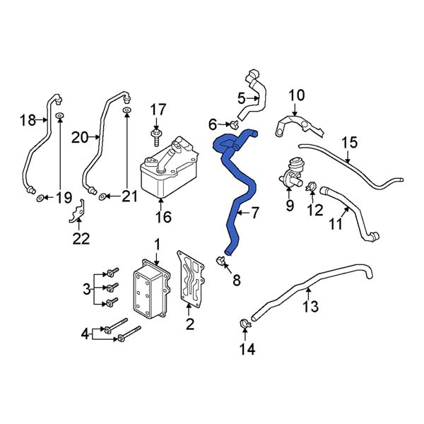 Radiator Hose